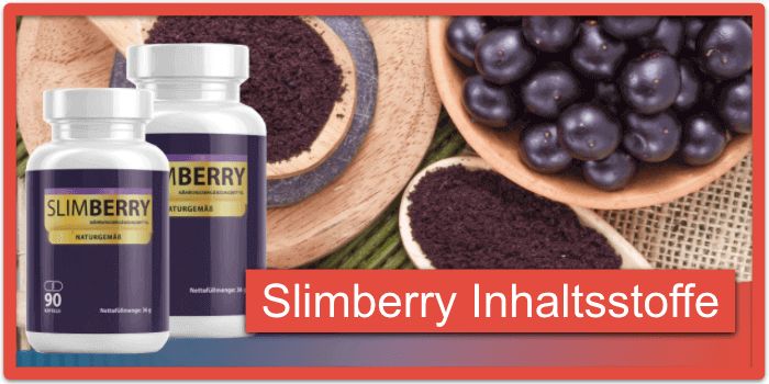 Slimberry Inhaltsstoffe Wirkung Wirkstoffe