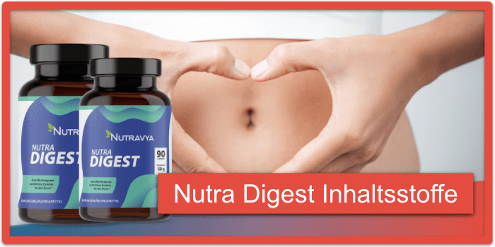 Nutra Digest Inhaltsstoffe Wirkung Wirkstoffe