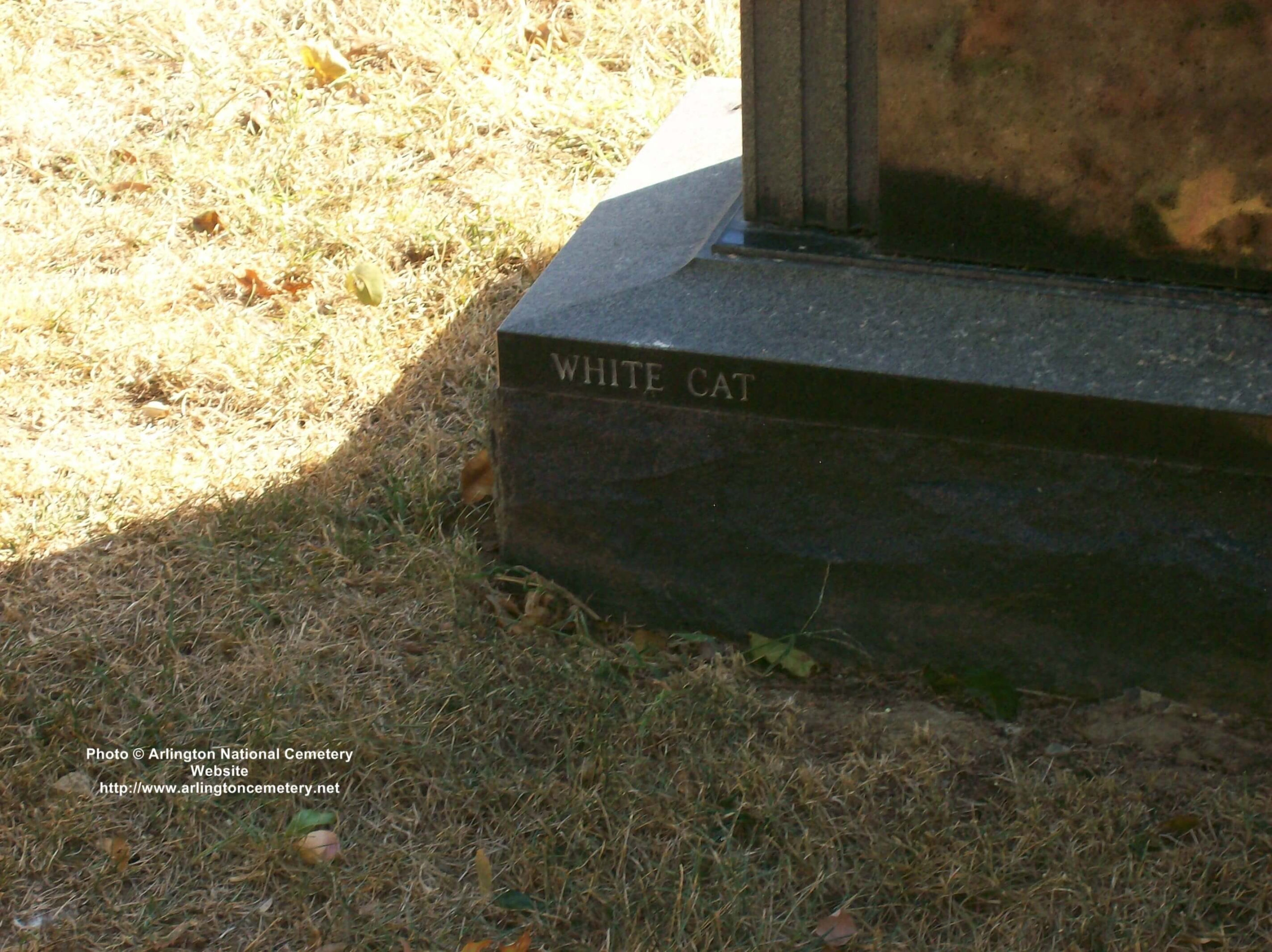michael-antopol-gravesite-photo-october-2007-003