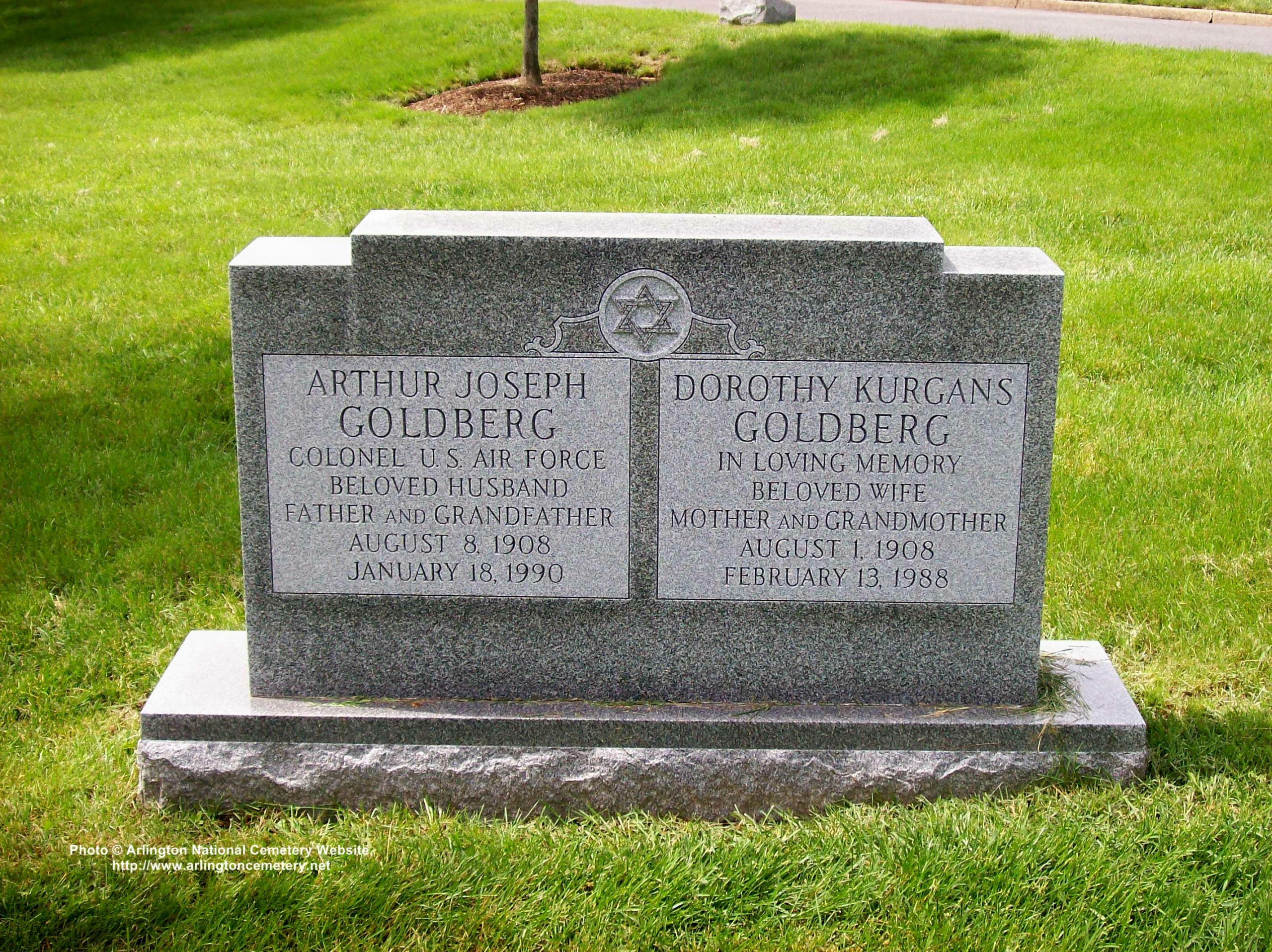 ajgoldberg-gravesite-photo-may-2008-001