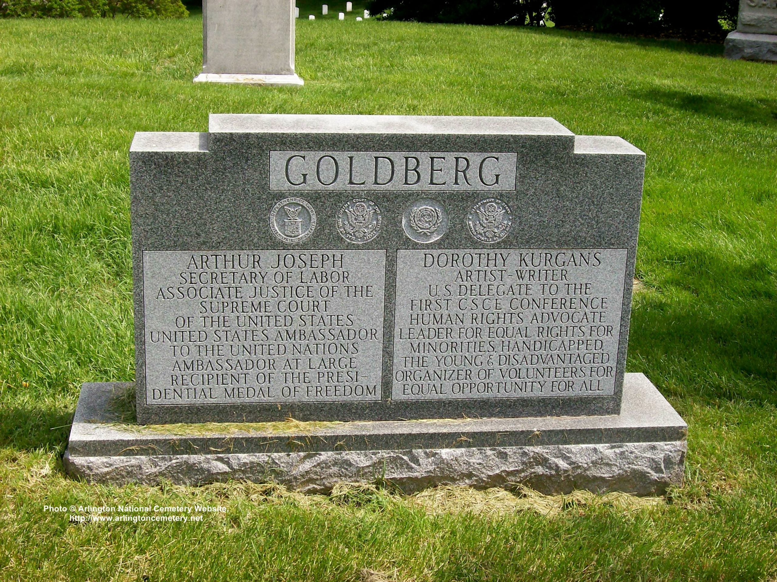 ajgoldberg-gravesite-photo-may-2008-002