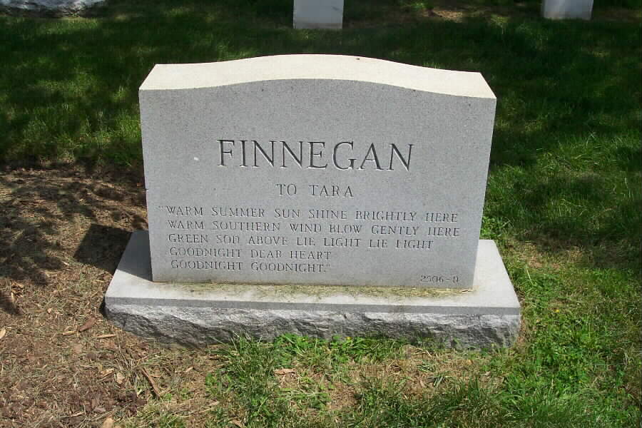 finnegan-gravesite-02-section3-062803