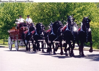 Heinz Hitch Horses Donated to Arlington National Cemetery
