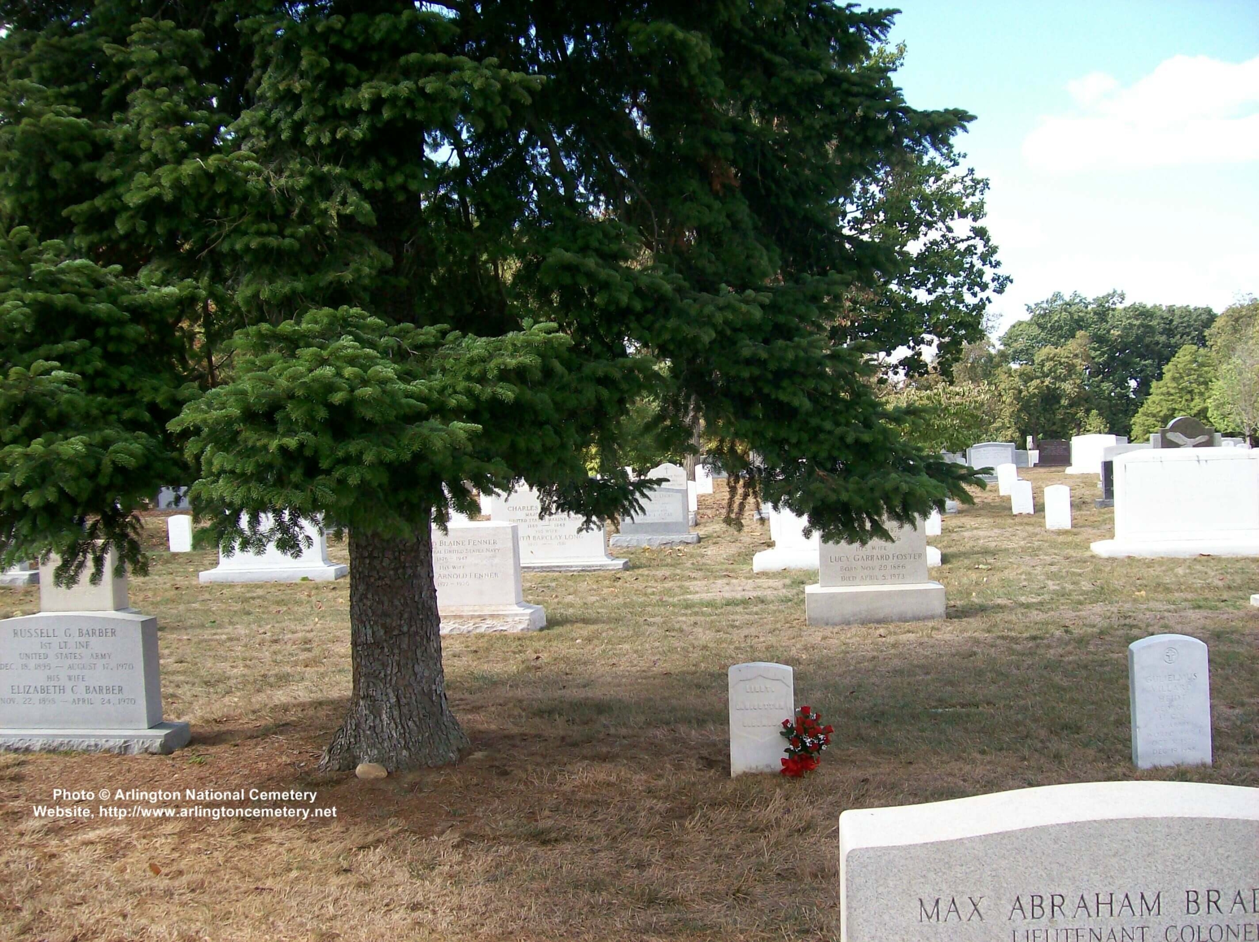 jnsutton-gravesite-photo-october-2007-011-with-tree