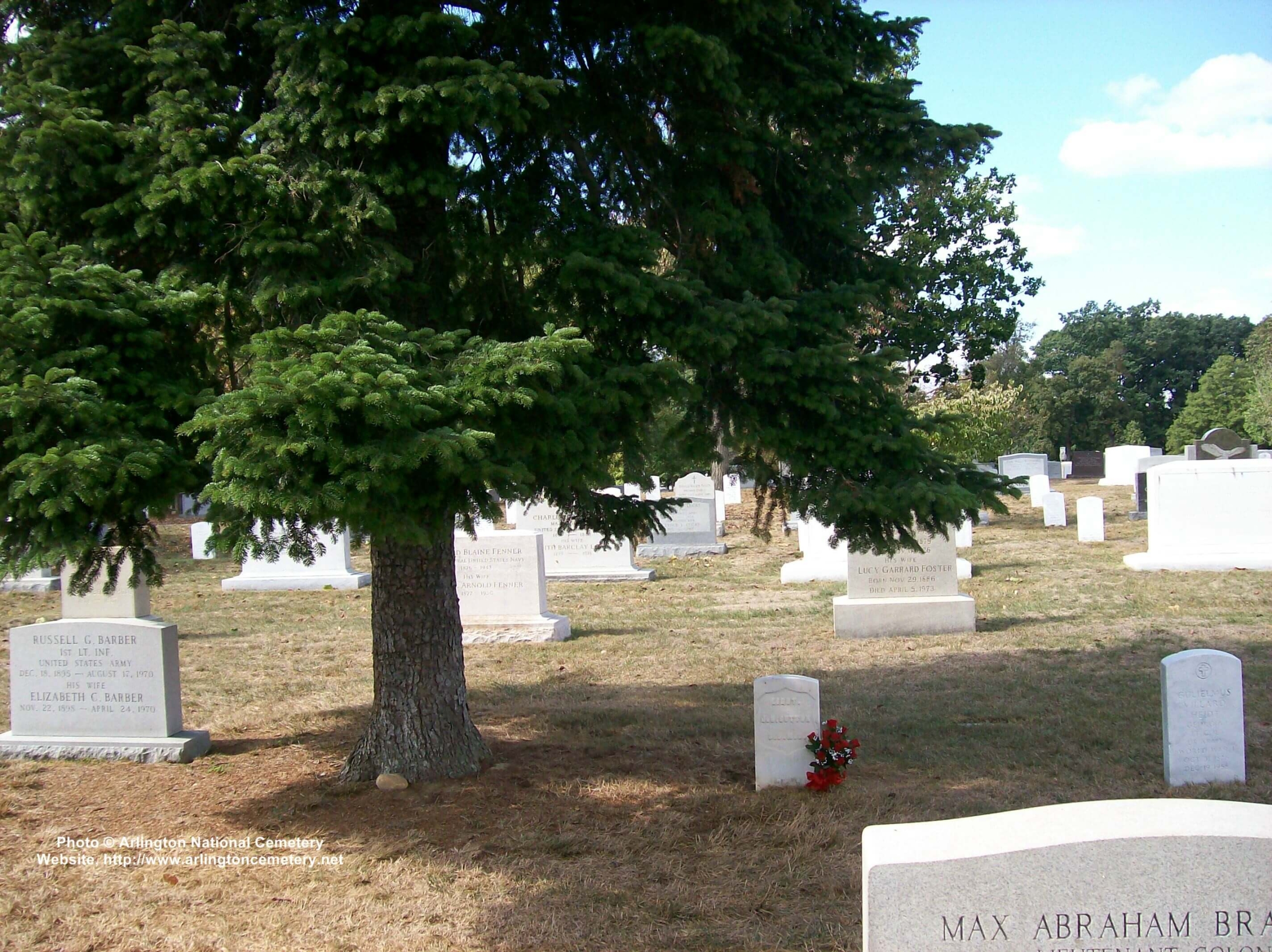 jnsutton-gravesite-photo-october-2007-013-with-tree
