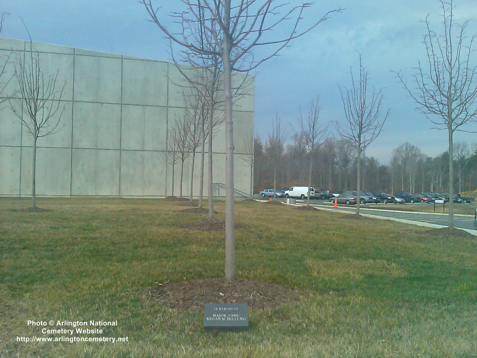 megan-mcclung-memorial-tree-photo-01