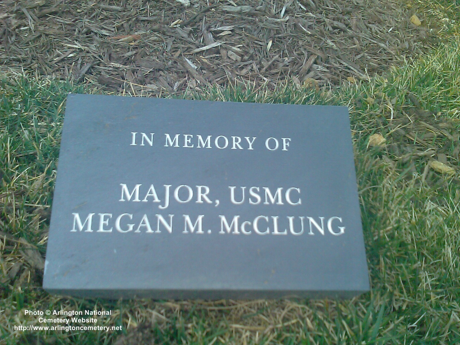 megan-mcclung-memorial-tree-photo-02
